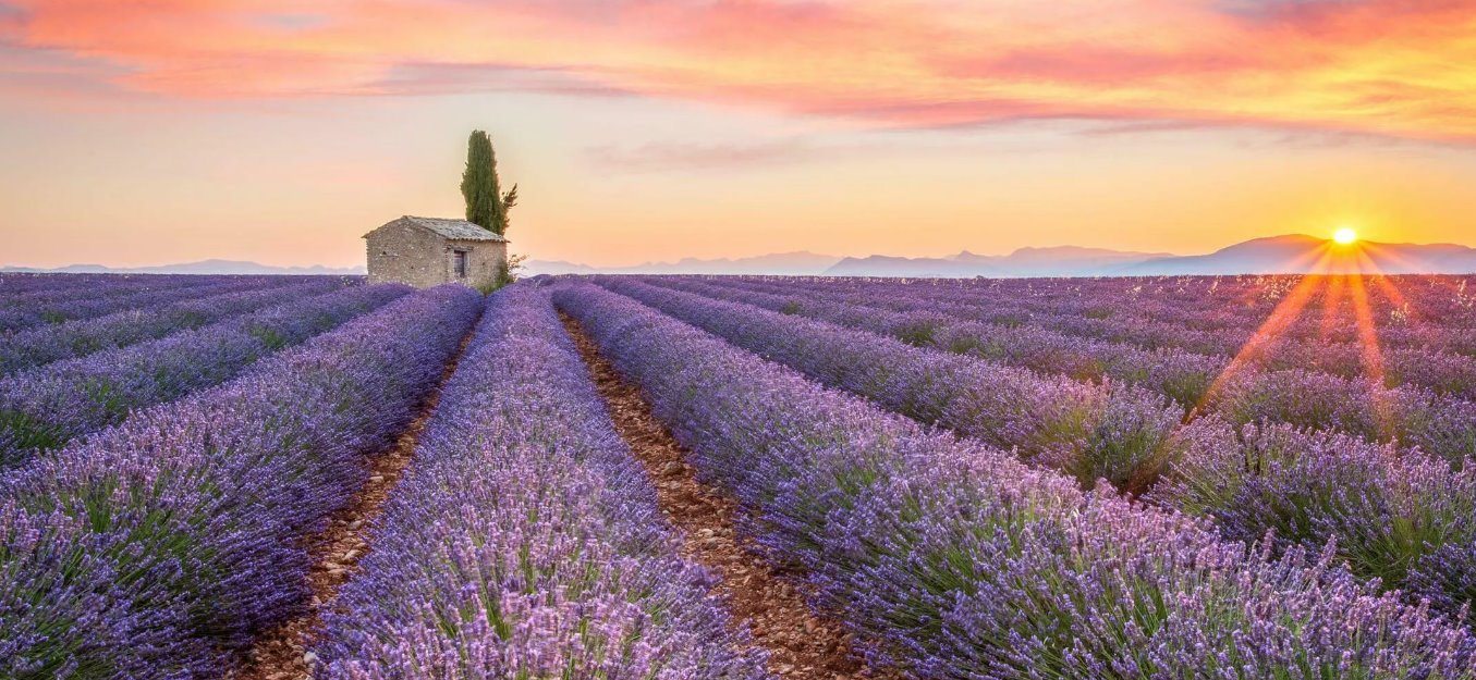 Provence