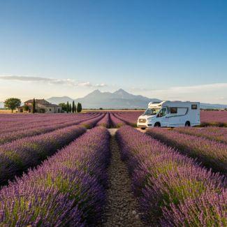 camping-car dans les champs de lavandes